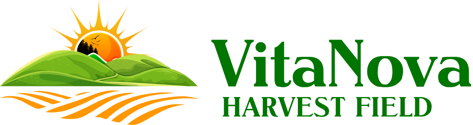 VIT_02-min