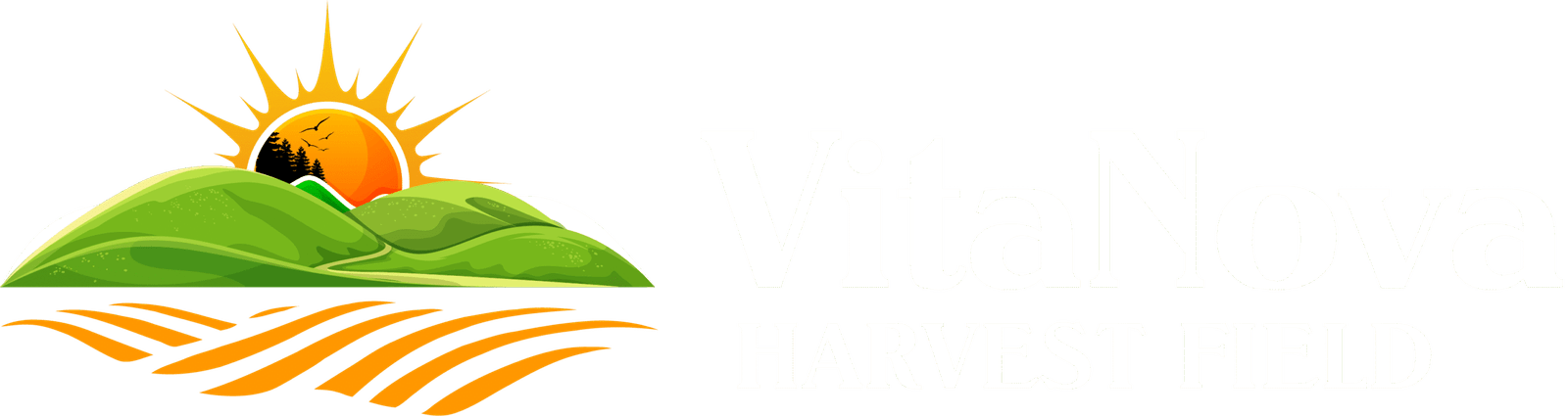 VIT_04-min